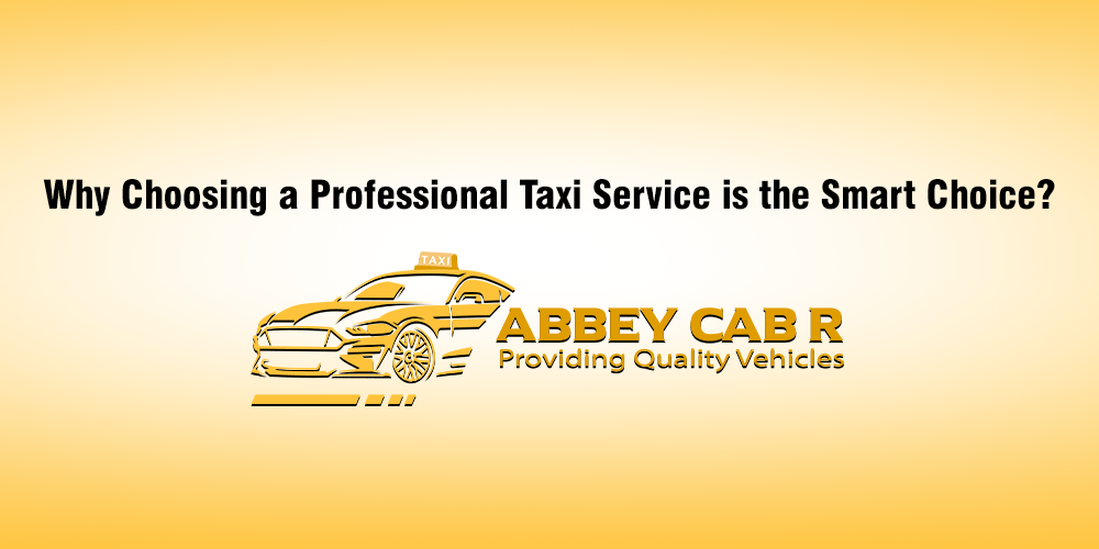 Read more about the article Why Choosing a Professional Taxi Service is the Smart Choice?